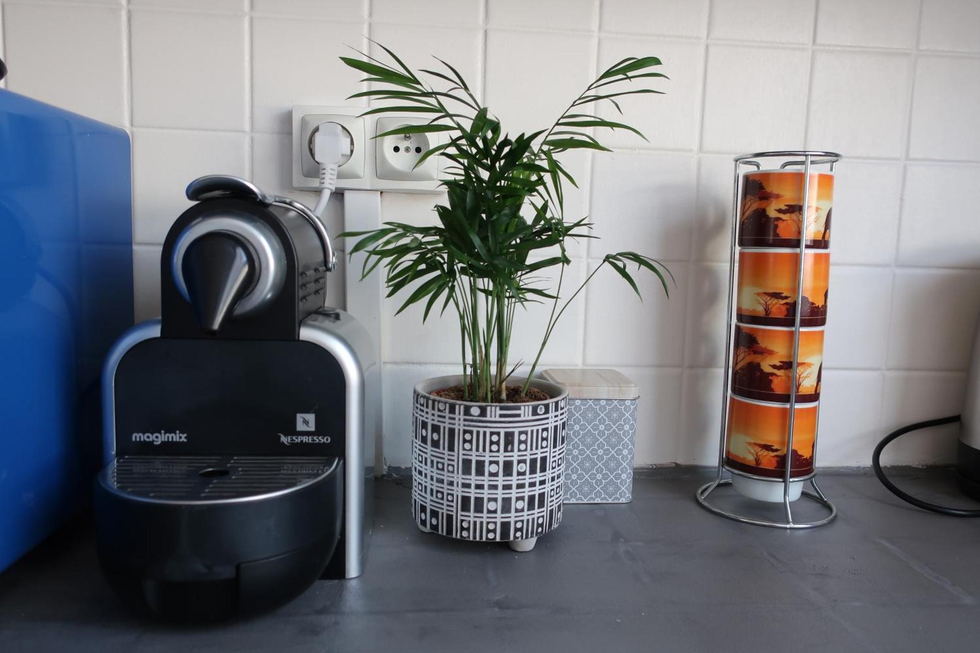 Appartement Avec Jardin Au Coeur De Rennes Zewnętrze zdjęcie